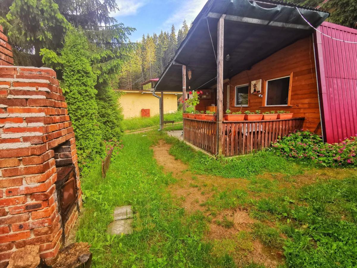 Orlino Holiday Park Sarnitsa Exterior photo